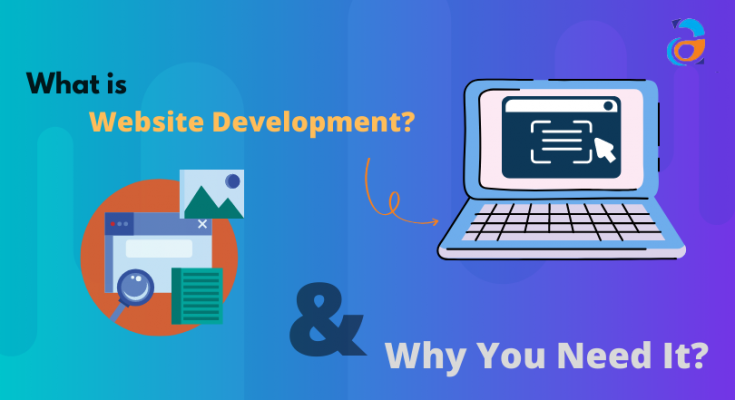 What is Website Development and Why You Need It_ (1)